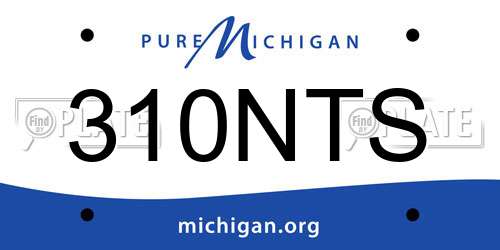 310NTS Michigan License Plate