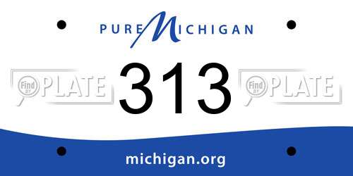 313 Michigan License Plate