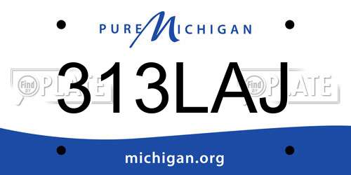 313LAJ Michigan License Plate