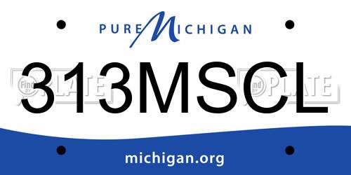 313MSCL Michigan License Plate