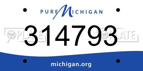 314793 Michigan License Plate