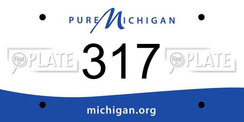 317 Michigan License Plate