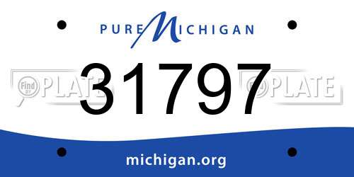 31797 Michigan License Plate
