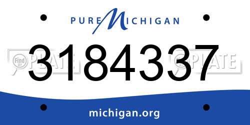 3184337 Michigan License Plate