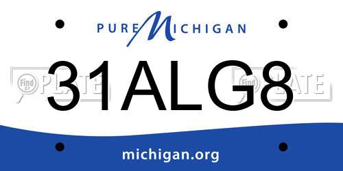 31ALG8 Michigan License Plate