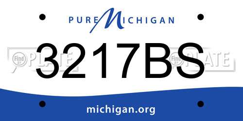 3217BS Michigan License Plate