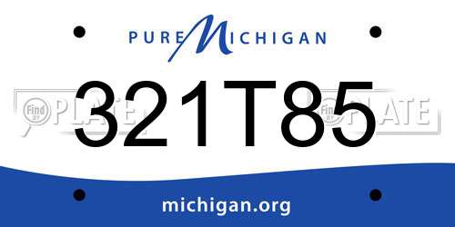 321T85 Michigan License Plate