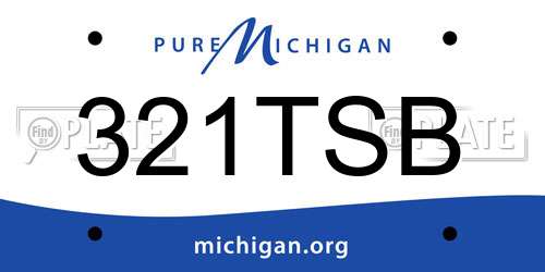 321TSB Michigan License Plate
