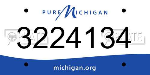 3224134 Michigan License Plate