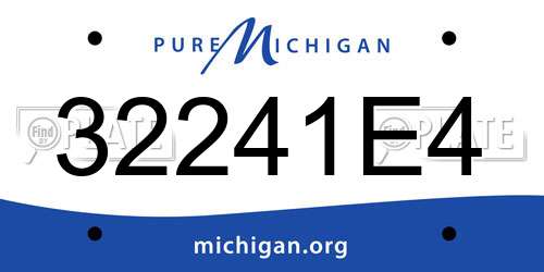 32241E4 Michigan License Plate