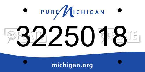3225018 Michigan License Plate