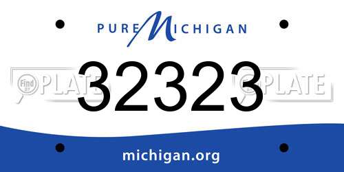 32323 Michigan License Plate