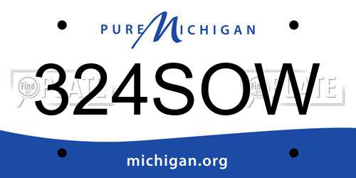 324SOW Michigan License Plate