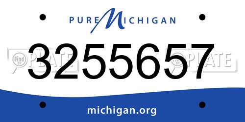 3255657 Michigan License Plate
