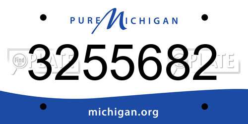 3255682 Michigan License Plate