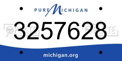 3257628 Michigan License Plate