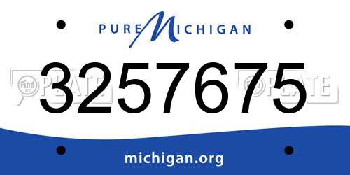 3257675 Michigan License Plate