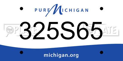 325S65 Michigan License Plate