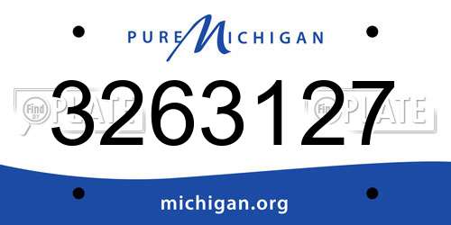 3263127 Michigan License Plate