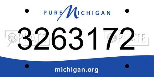 3263172 Michigan License Plate