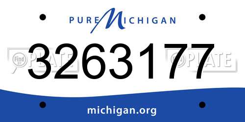 3263177 Michigan License Plate