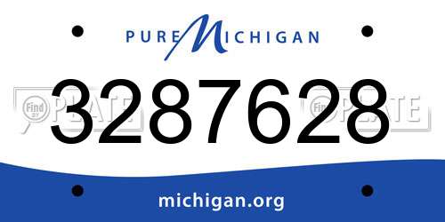 3287628 Michigan License Plate