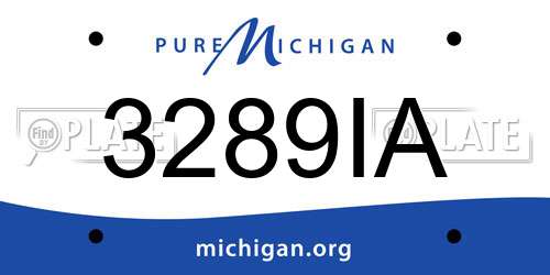 3289IA Michigan License Plate