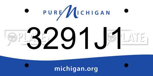 3291J1 Michigan License Plate