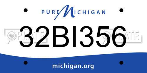 32BI356 Michigan License Plate