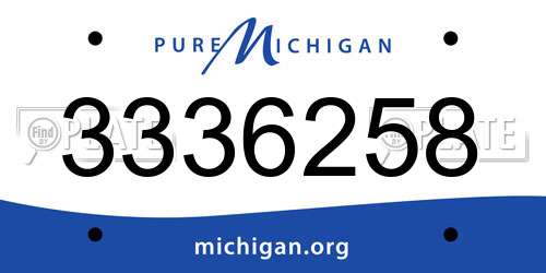 3336258 Michigan License Plate