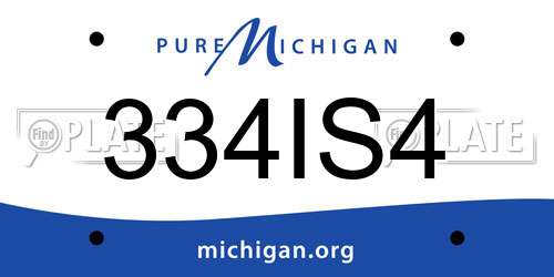334IS4 Michigan License Plate