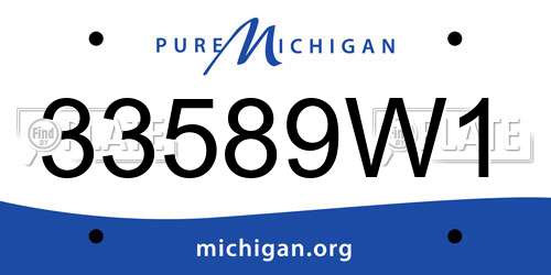 33589W1 Michigan License Plate