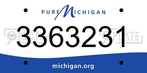 3363231 Michigan License Plate