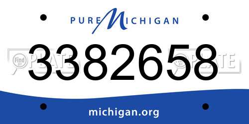 3382658 Michigan License Plate