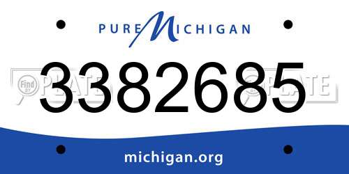 3382685 Michigan License Plate