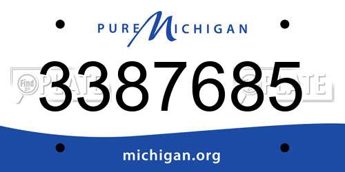 3387685 Michigan License Plate