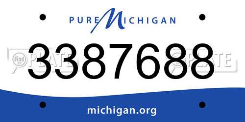 3387688 Michigan License Plate