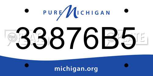 33876B5 Michigan License Plate