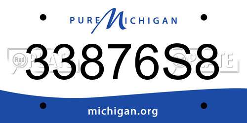 33876S8 Michigan License Plate