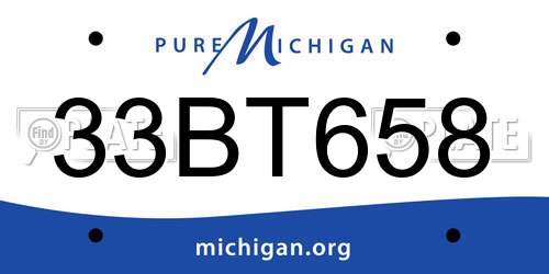 33BT658 Michigan License Plate
