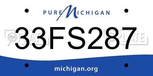 33FS287 Michigan License Plate
