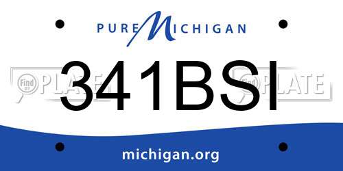 341BSI Michigan License Plate