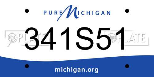 341S51 Michigan License Plate