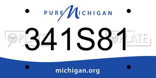 341S81 Michigan License Plate