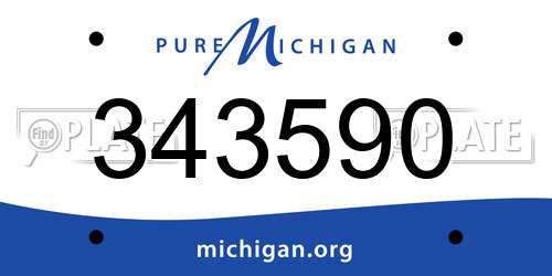 343590 Michigan License Plate
