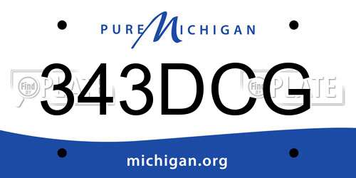 343DCG Michigan License Plate