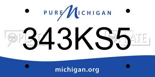 343KS5 Michigan License Plate