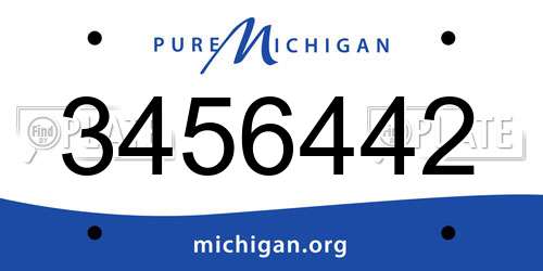 3456442 Michigan License Plate