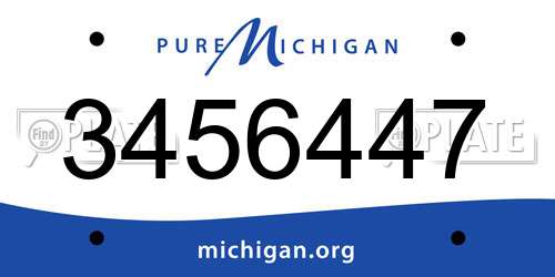 3456447 Michigan License Plate