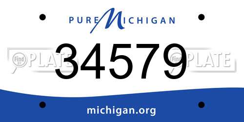 34579 Michigan License Plate
